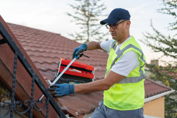 Best Wall Insulation Installation  in Spirit Lake, IA